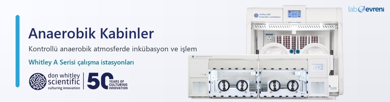 Don Whitley Scientific Whitley A Serisi anaerobik kabin modelleri