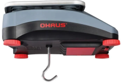Ohaus R31PH30 Endüstriyel Terazi 0,1 gr | 300x200 mm