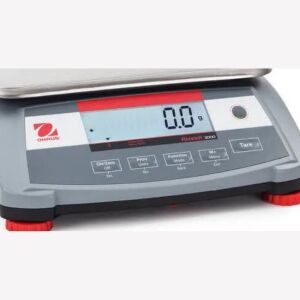 Ohaus R31PH30 Endüstriyel Terazi 0,1 gr | 300x200 mm