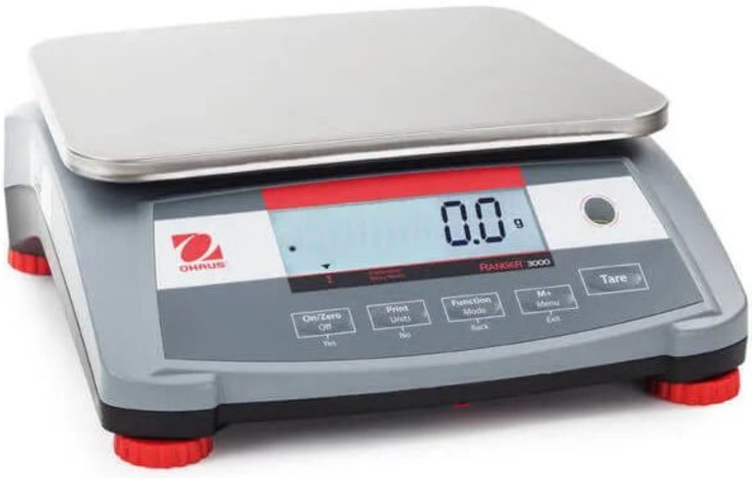 Ohaus R31PH30 Endüstriyel Terazi 0,1 gr | 300x200 mm