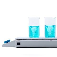 VELP Multi-HS 6 Dijital Çoklu Isıtıcılı Manyetik Karıştırıcı | 1000 Rpm | 120 °C | 6 X 400 mL