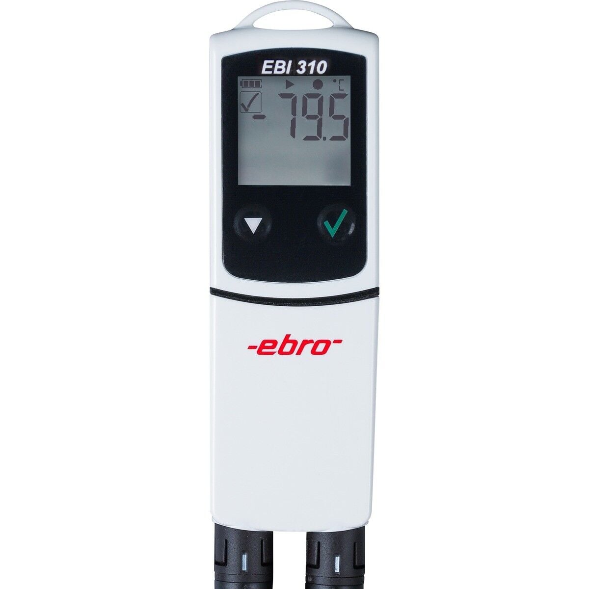 EBRO EBI 310 TX Veri Kaydedici | -200–400 °C | Çift Kanal Adaptörlü