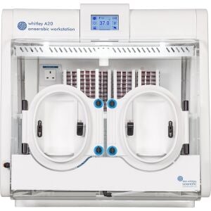 Don Whitley Scientific Whitley A20 Anaerobik Kabin | 210 L