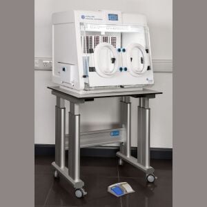 Don Whitley Scientific Whitley A20 Anaerobik Kabin | 210 L