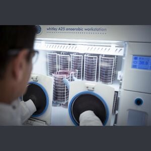 Don Whitley Scientific Whitley A25 Anaerobik Kabin | 340 Petri