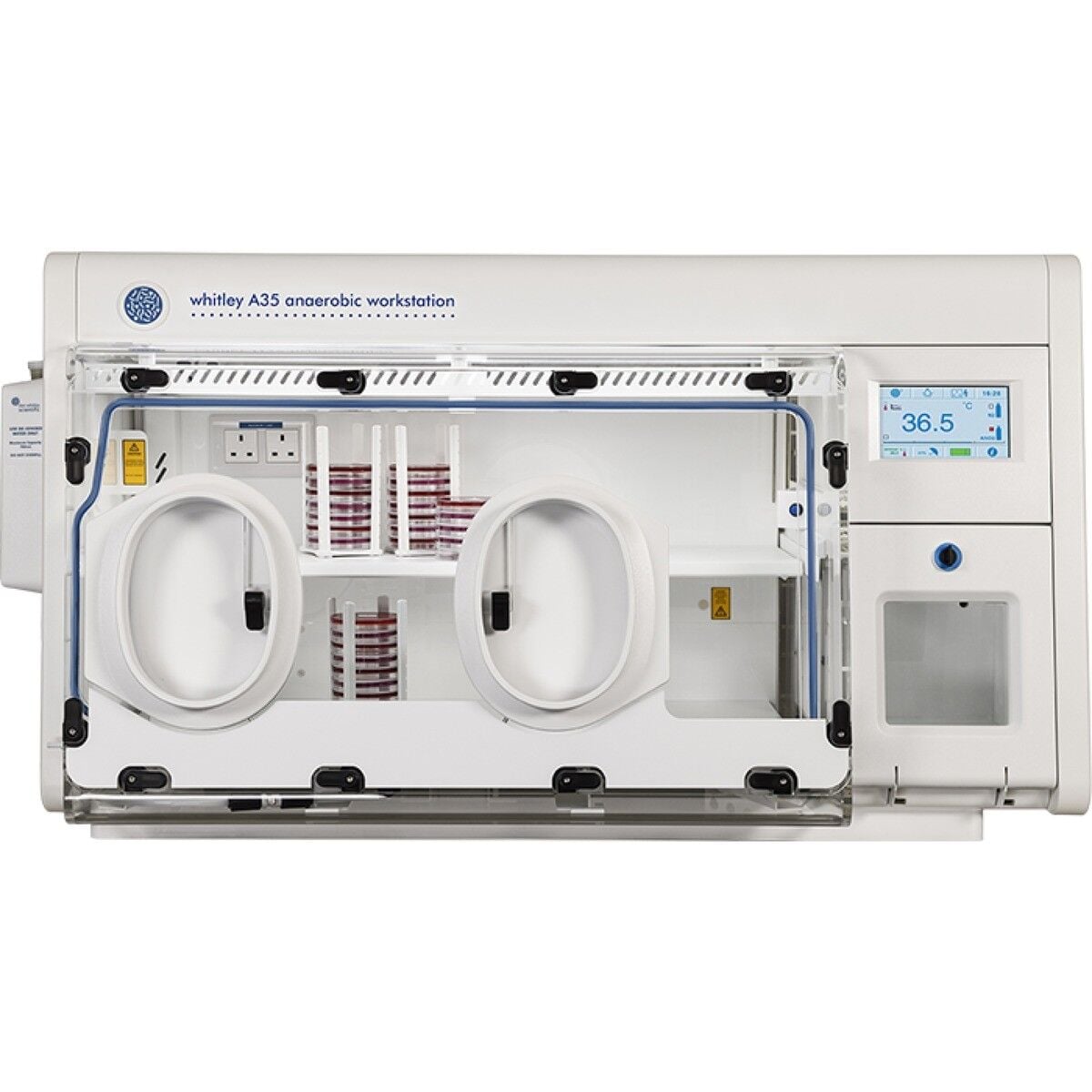 Don Whitley Scientific Whitley A35 Anaerobik Kabin | 300 L