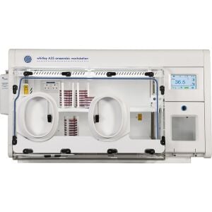 Don Whitley Scientific Whitley A35 Anaerobik Kabin | 300 L