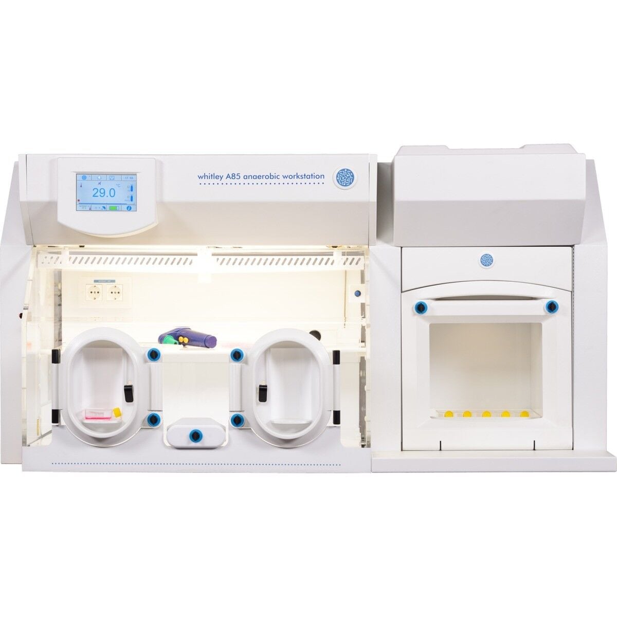 Don Whitley Scientific Whitley A85 Anaerobik Kabin | 300 L