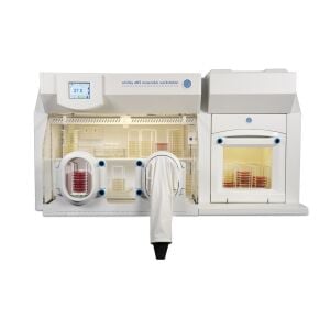 Don Whitley Scientific Whitley A85 Anaerobik Kabin | 300 L