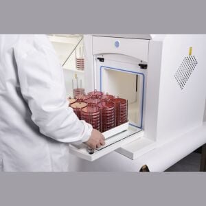 Don Whitley Scientific Whitley A95 Anaerobik Kabin | 600 L