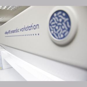 Don Whitley Scientific Whitley A95 Anaerobik Kabin | 600 L