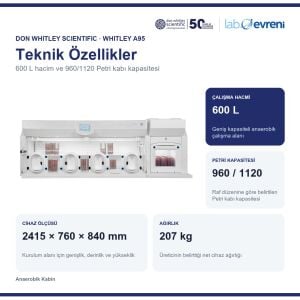 Don Whitley Scientific Whitley A95 Anaerobik Kabin | 600 L