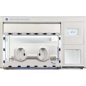 Don Whitley Scientific Whitley A135 GMP Anaerobik İzolatör | 900 L