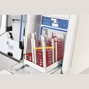 Don Whitley Scientific Whitley A145 HEPA Anaerobik Kabin | 1350 L