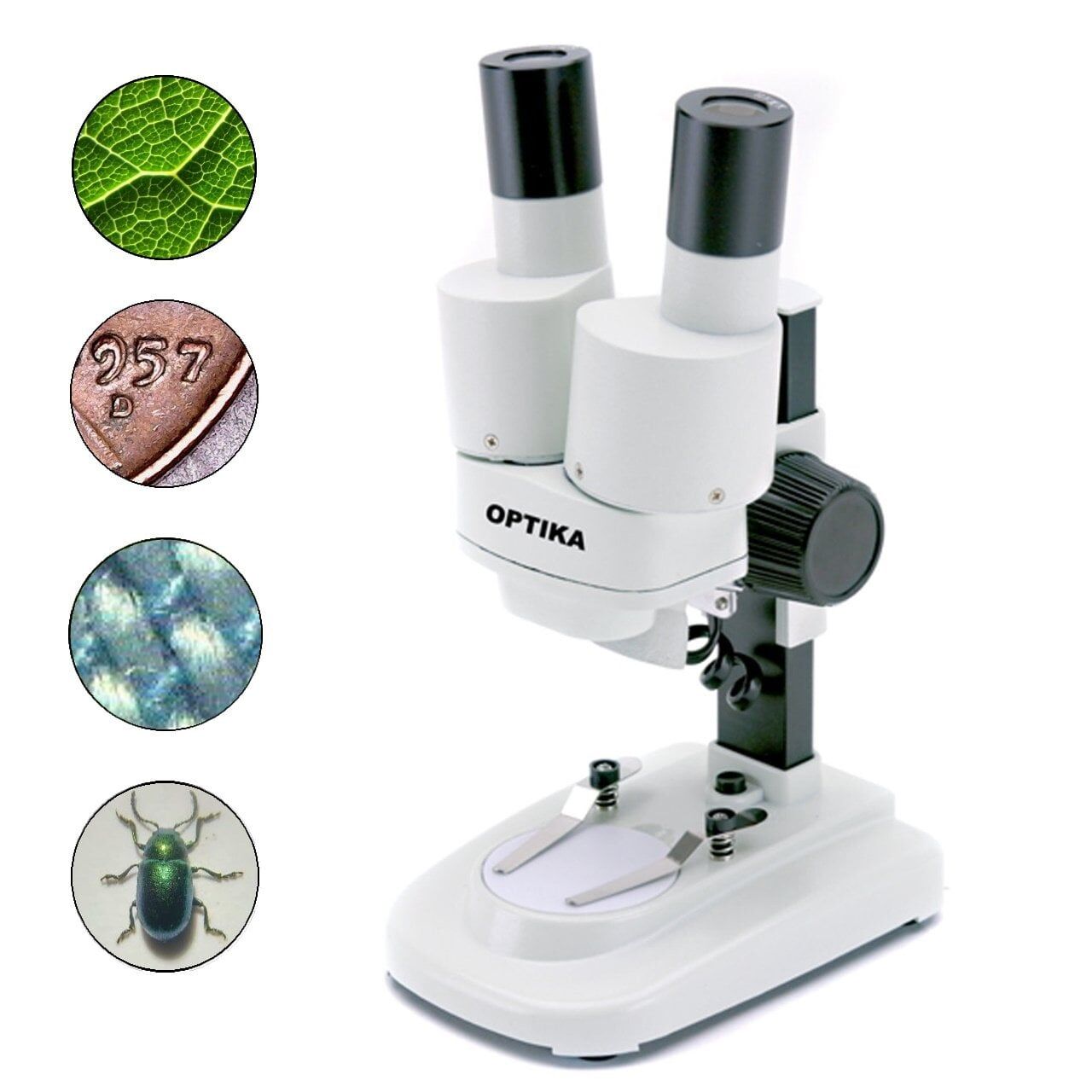 OPTIKA STX Binoküler Stereo Mikroskop | 20x