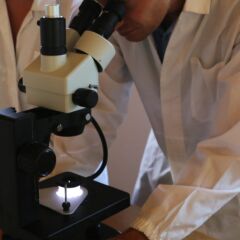 OPTIKA OPTIGEM-20 Gemoloji Mikroskobu | Trinoküler