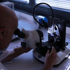 OPTIKA OPTIGEM-20 Gemoloji Mikroskobu | Trinoküler