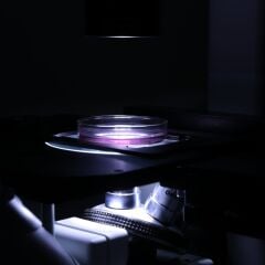 OPTIKA IM-3LD4 Ters Floresan Mikroskop | LED