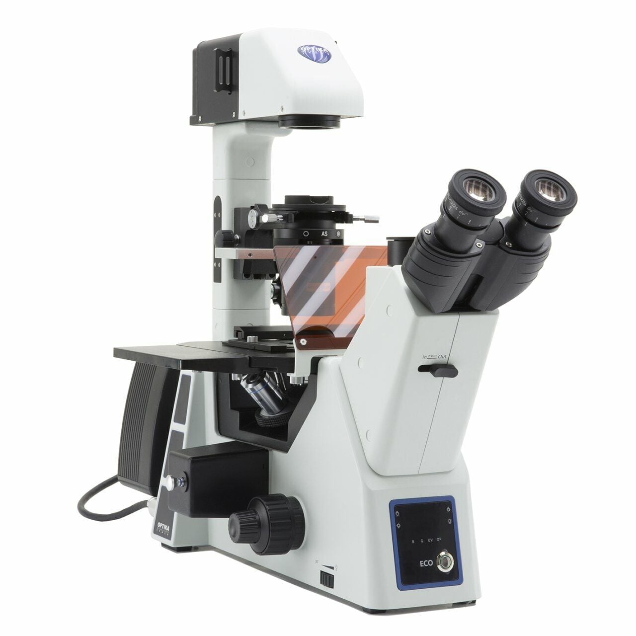 OPTIKA IM-5FLD Ters Floresan Mikroskobu